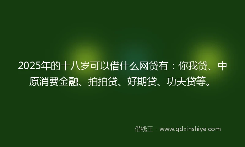 2025年的十八岁可以借什么网贷有：你我贷、中原消费金融、拍拍贷、好期贷、功夫贷等。