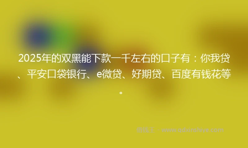 2025年的双黑能下款一千左右的口子有：你我贷、平安口袋银行、e微贷、好期贷、百度有钱花等。