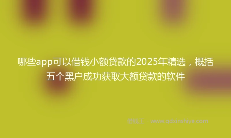 哪些app可以借钱小额贷款的2025年精选，概括五个黑户成功获取大额贷款的软件