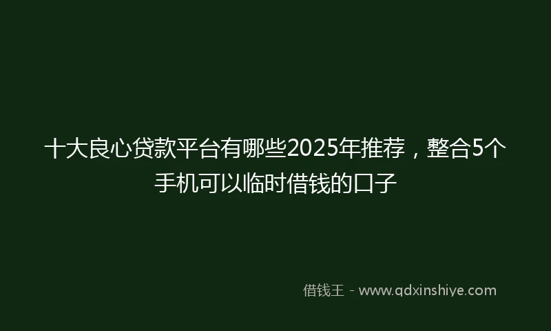 十大良心贷款平台有哪些2025年推荐，整合5个手机可以临时借钱的口子