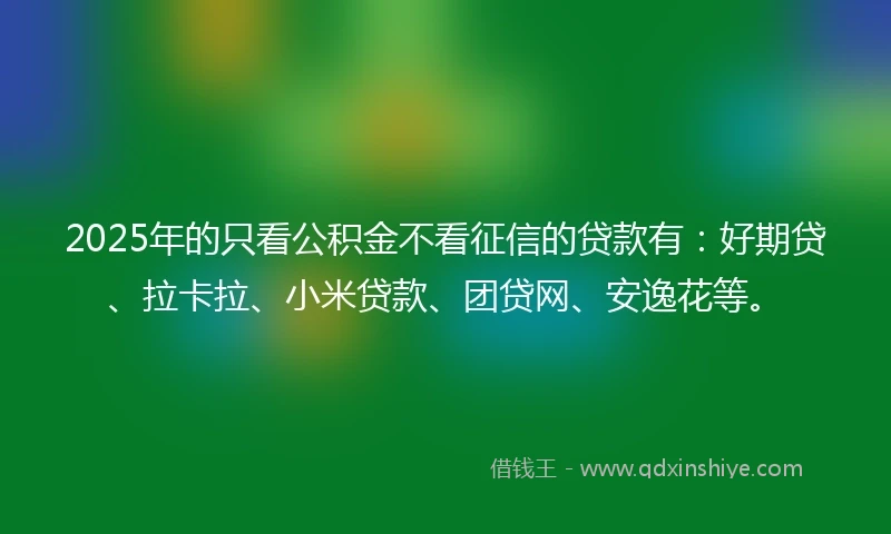 2025年的只看公积金不看征信的贷款有：好期贷、拉卡拉、小米贷款、团贷网、安逸花等。