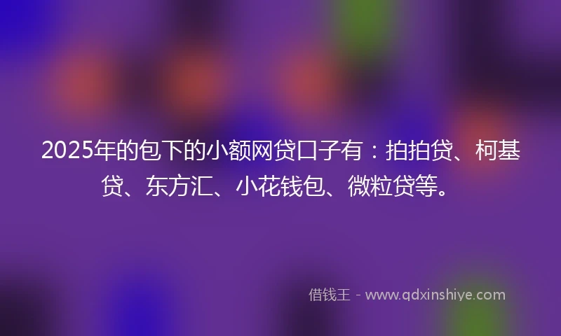 2025年的包下的小额网贷口子有：拍拍贷、柯基贷、东方汇、小花钱包、微粒贷等。