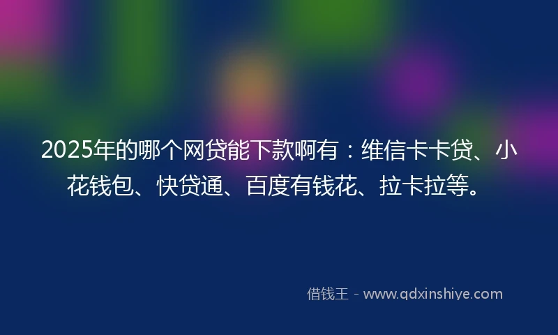 2025年的哪个网贷能下款啊有：维信卡卡贷、小花钱包、快贷通、百度有钱花、拉卡拉等。