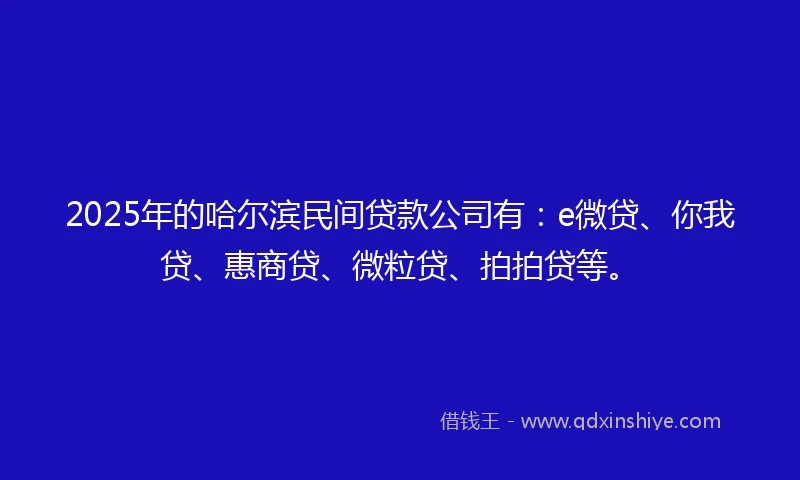 2025年的哈尔滨民间贷款公司有：e微贷、你我贷、惠商贷、微粒贷、拍拍贷等。