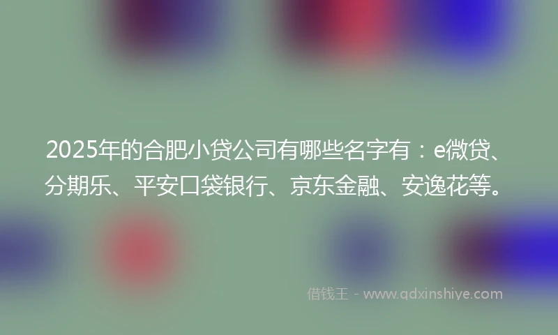 2025年的合肥小贷公司有哪些名字有：e微贷、分期乐、平安口袋银行、京东金融、安逸花等。