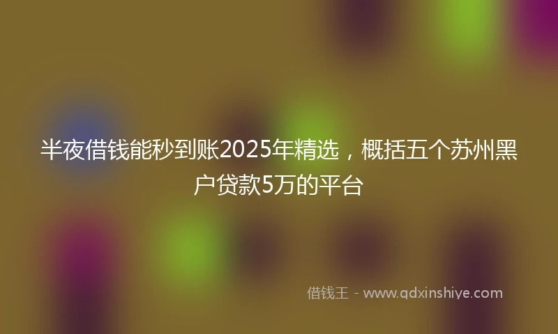 半夜借钱能秒到账2025年精选，概括五个苏州黑户贷款5万的平台