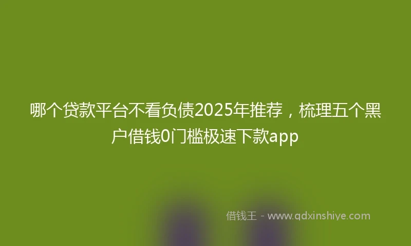 哪个贷款平台不看负债2025年推荐，梳理五个黑户借钱0门槛极速下款app