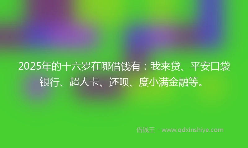 2025年的十六岁在哪借钱有：我来贷、平安口袋银行、超人卡、还呗、度小满金融等。