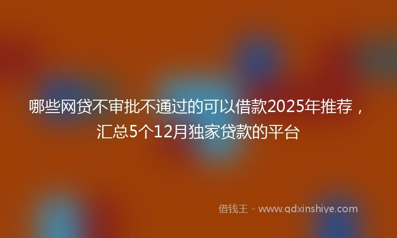 哪些网贷不审批不通过的可以借款2025年推荐，汇总5个12月独家贷款的平台
