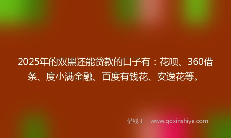 2025年的双黑还能贷款的口子有：花呗、360借条、度小满金融、百度有钱花、安逸花等。