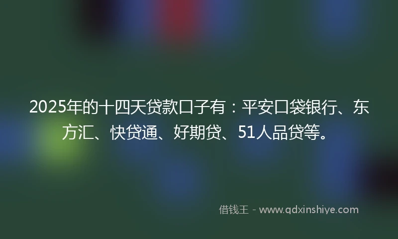 2025年的十四天贷款口子有：平安口袋银行、东方汇、快贷通、好期贷、51人品贷等。