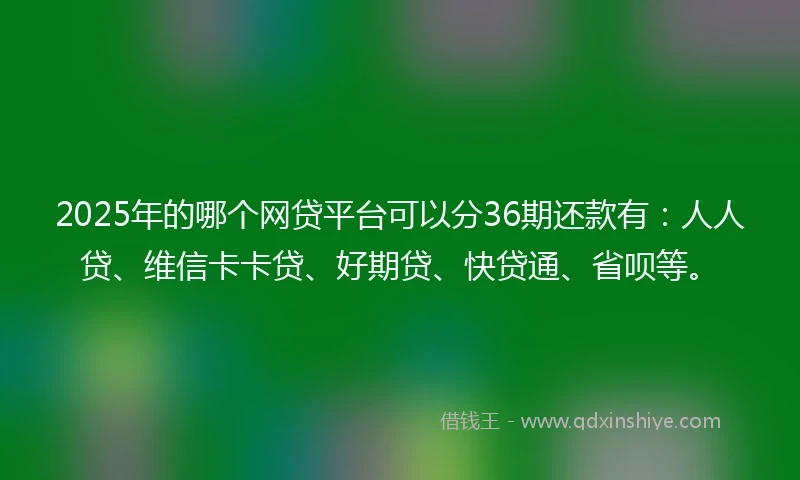 2025年的哪个网贷平台可以分36期还款有：人人贷、维信卡卡贷、好期贷、快贷通、省呗等。
