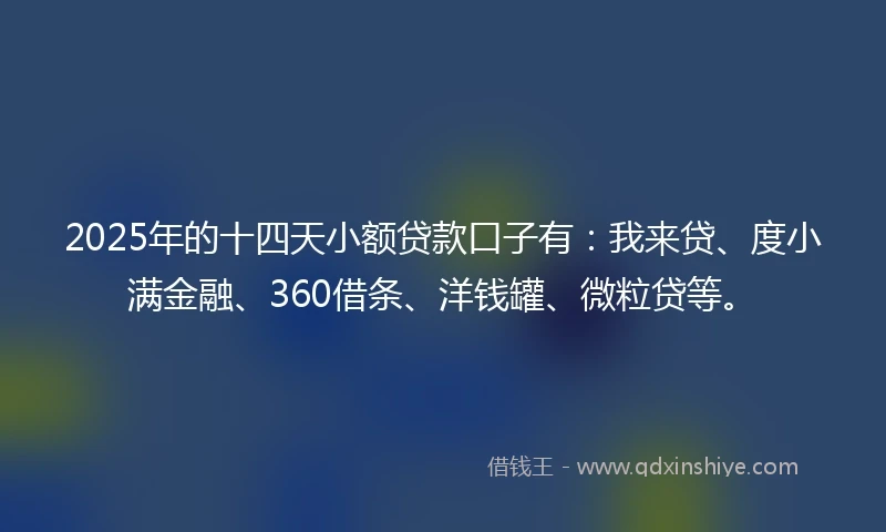 2025年的十四天小额贷款口子有：我来贷、度小满金融、360借条、洋钱罐、微粒贷等。
