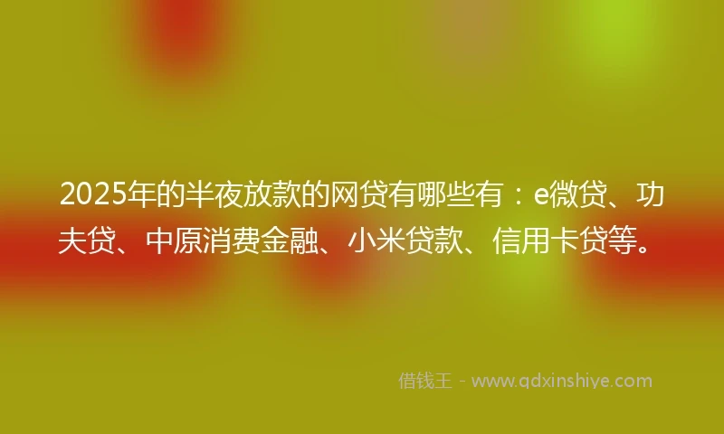 2025年的半夜放款的网贷有哪些有：e微贷、功夫贷、中原消费金融、小米贷款、信用卡贷等。
