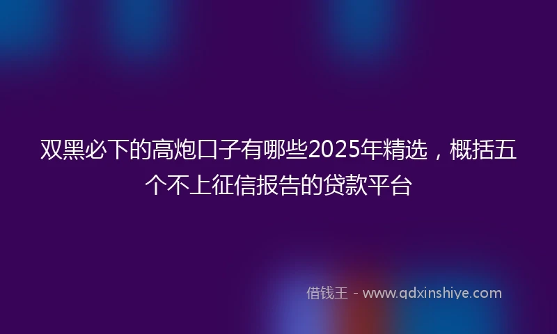 双黑必下的高炮口子有哪些2025年精选，概括五个不上征信报告的贷款平台