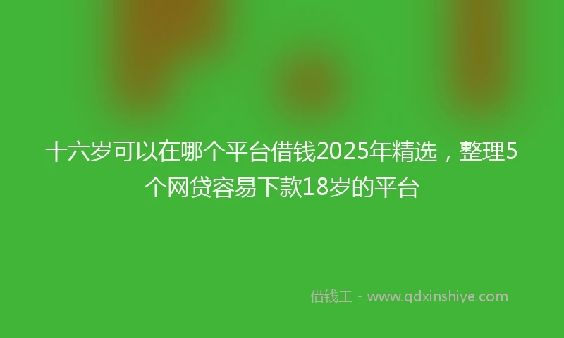 十六岁可以在哪个平台借钱2025年精选，整理5个网贷容易下款18岁的平台