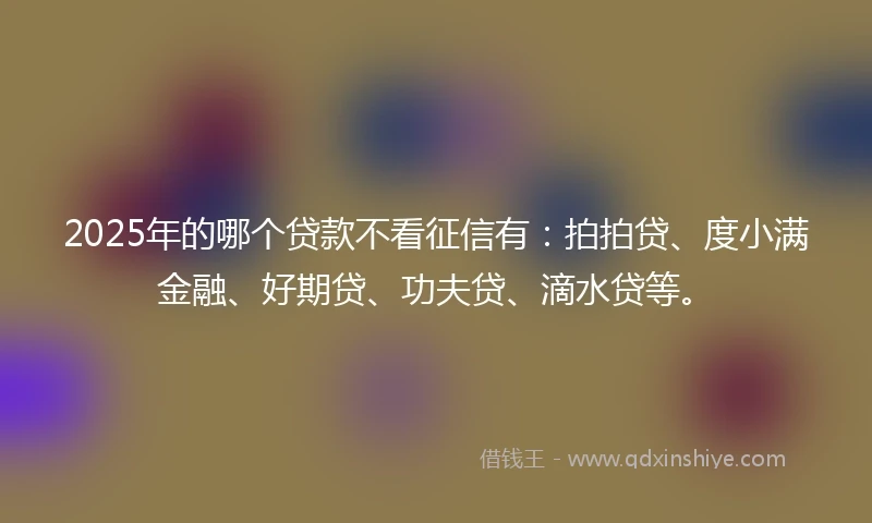 2025年的哪个贷款不看征信有:拍拍贷、度小满金融、好期贷、功夫贷、滴水贷等。