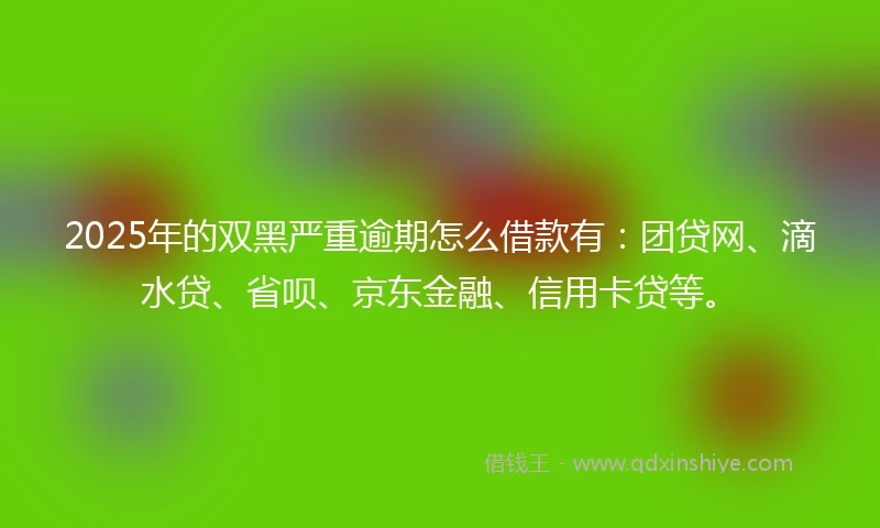 2025年的双黑严重逾期怎么借款有：团贷网、滴水贷、省呗、京东金融、信用卡贷等。