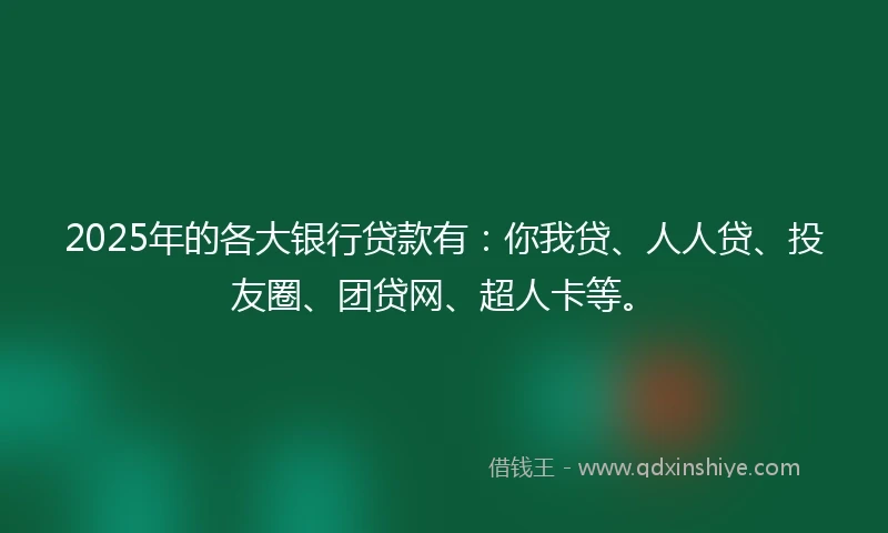 2025年的各大银行贷款有：你我贷、人人贷、投友圈、团贷网、超人卡等。