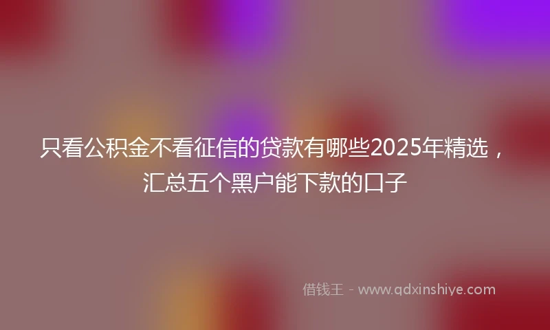 只看公积金不看征信的贷款有哪些2025年精选，汇总五个黑户能下款的口子