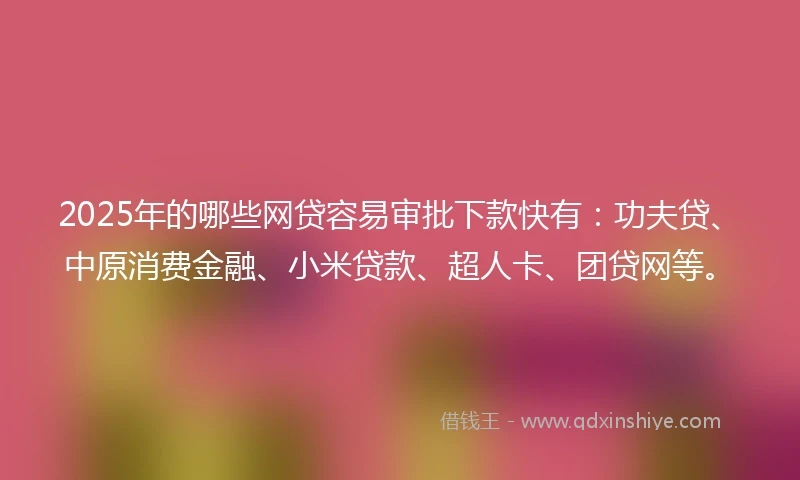 2025年的哪些网贷容易审批下款快有：功夫贷、中原消费金融、小米贷款、超人卡、团贷网等。