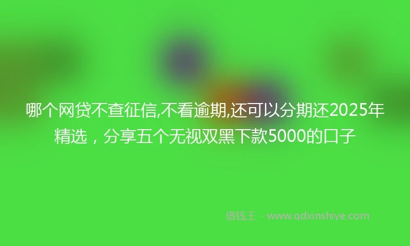 哪个网贷不查征信,不看逾期,还可以分期还2025年精选，分享五个无视双黑下款5000的口子