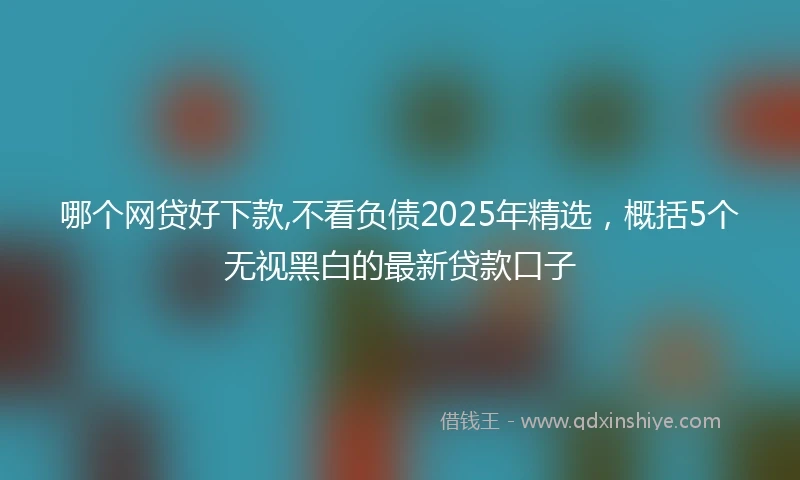 哪个网贷好下款,不看负债2025年精选，概括5个无视黑白的最新贷款口子