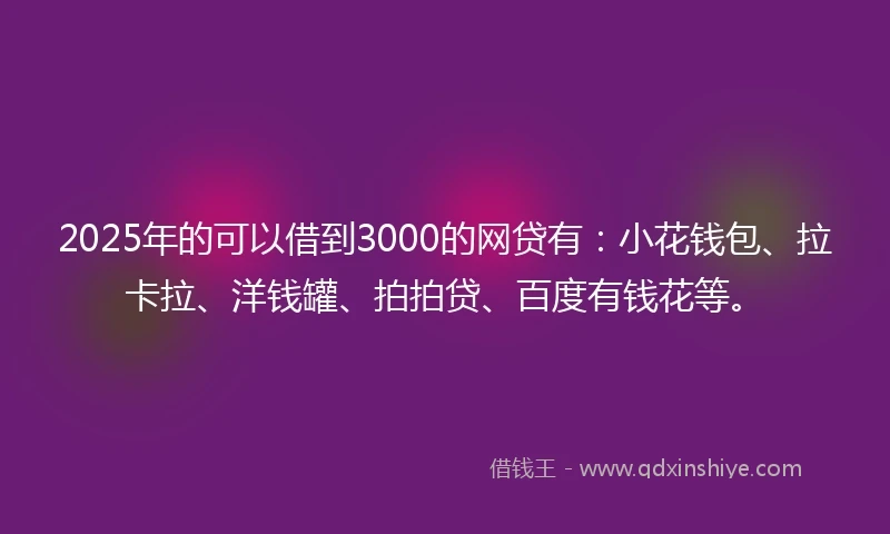 2025年的可以借到3000的网贷有：小花钱包、拉卡拉、洋钱罐、拍拍贷、百度有钱花等。