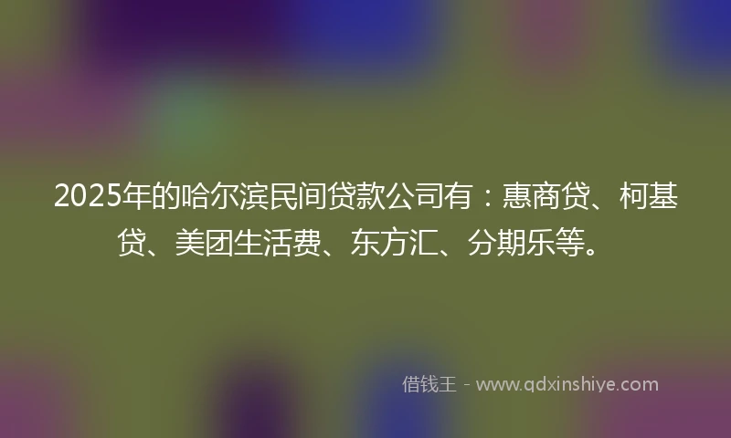 2025年的哈尔滨民间贷款公司有：惠商贷、柯基贷、美团生活费、东方汇、分期乐等。