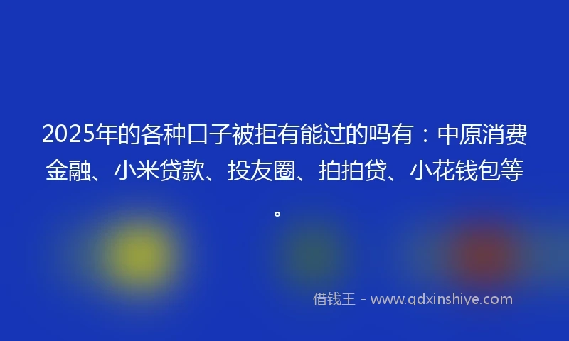 2025年的各种口子被拒有能过的吗有：中原消费金融、小米贷款、投友圈、拍拍贷、小花钱包等。