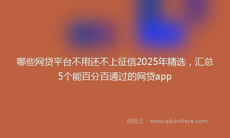 哪些网贷平台不用还不上征信2025年精选，汇总5个能百分百通过的网贷app