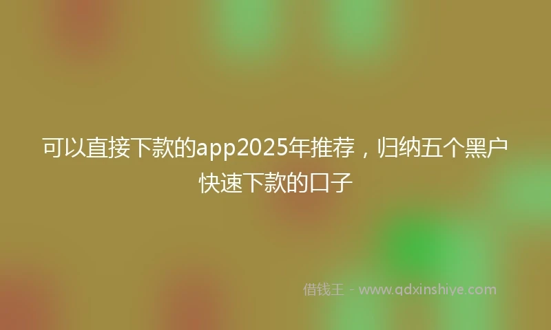 可以直接下款的app2025年推荐，归纳五个黑户快速下款的口子