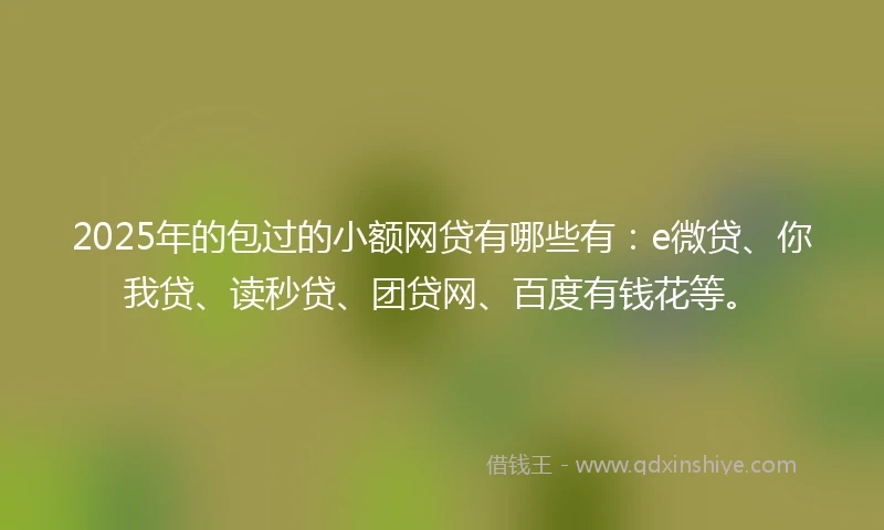 2025年的包过的小额网贷有哪些有：e微贷、你我贷、读秒贷、团贷网、百度有钱花等。