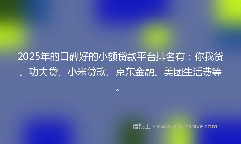 2025年的口碑好的小额贷款平台排名有：你我贷、功夫贷、小米贷款、京东金融、美团生活费等。