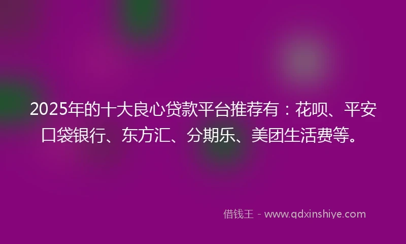 2025年的十大良心贷款平台推荐有：花呗、平安口袋银行、东方汇、分期乐、美团生活费等。