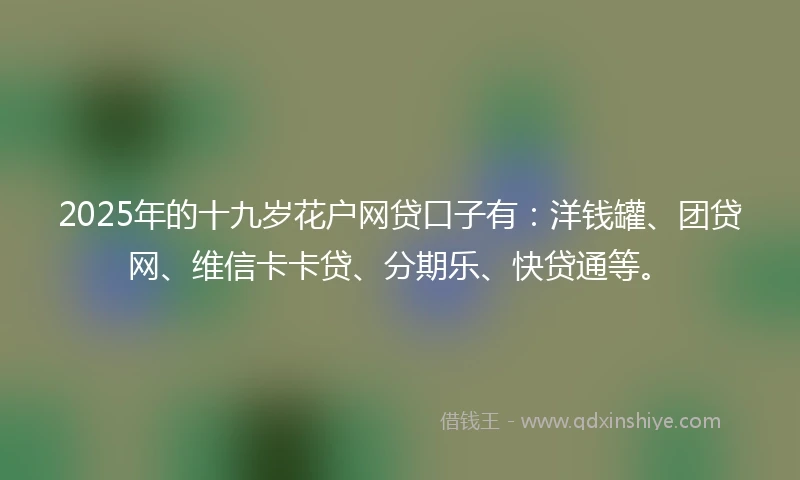 2025年的十九岁花户网贷口子有：洋钱罐、团贷网、维信卡卡贷、分期乐、快贷通等。