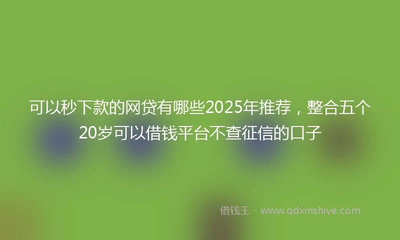 可以秒下款的网贷有哪些2025年推荐,整合五个20岁可以借钱平台不查征信的口子