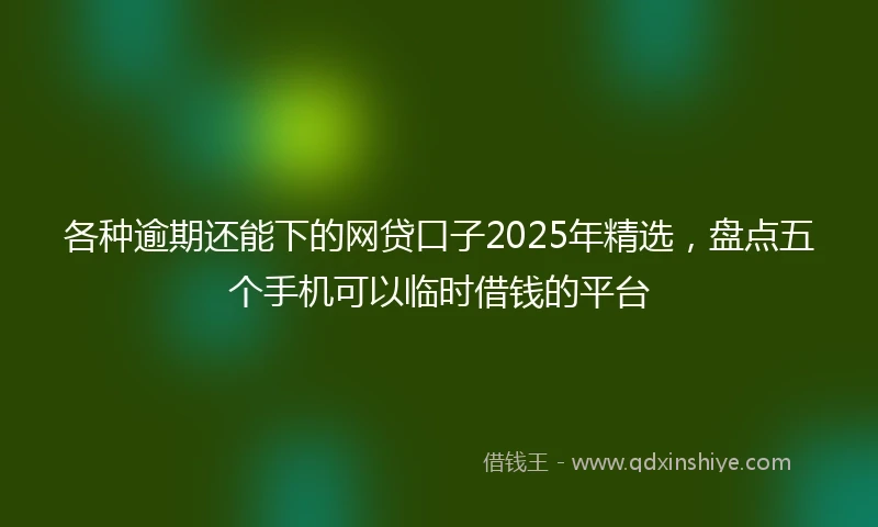 各种逾期还能下的网贷口子2025年精选，盘点五个手机可以临时借钱的平台