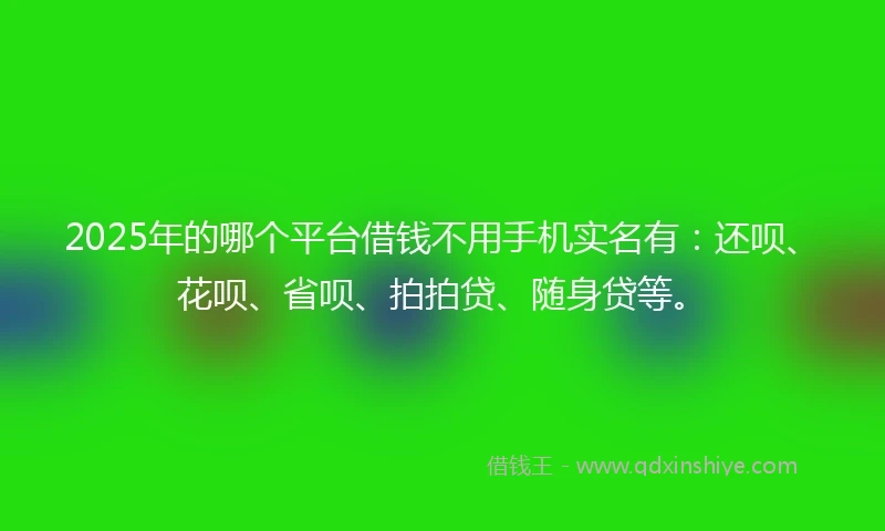 2025年的哪个平台借钱不用手机实名有：还呗、花呗、省呗、拍拍贷、随身贷等。