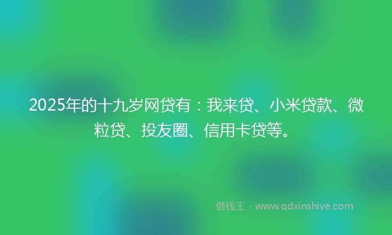 2025年的十九岁网贷有：我来贷、小米贷款、微粒贷、投友圈、信用卡贷等。