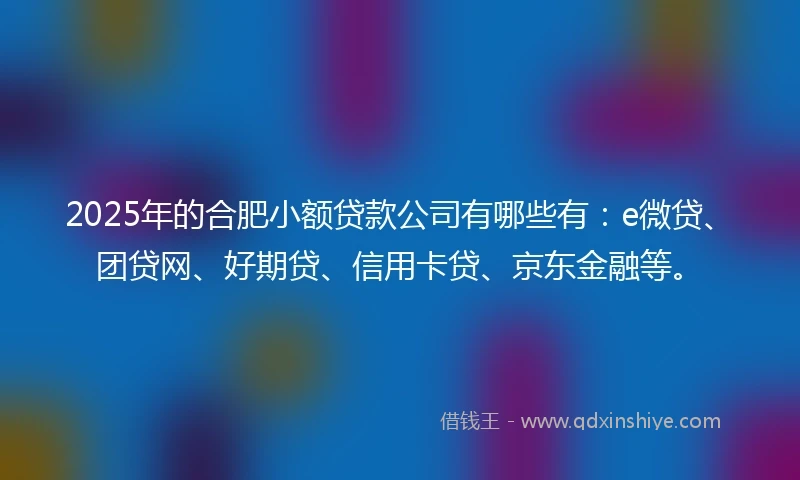 2025年的合肥小额贷款公司有哪些有：e微贷、团贷网、好期贷、信用卡贷、京东金融等。