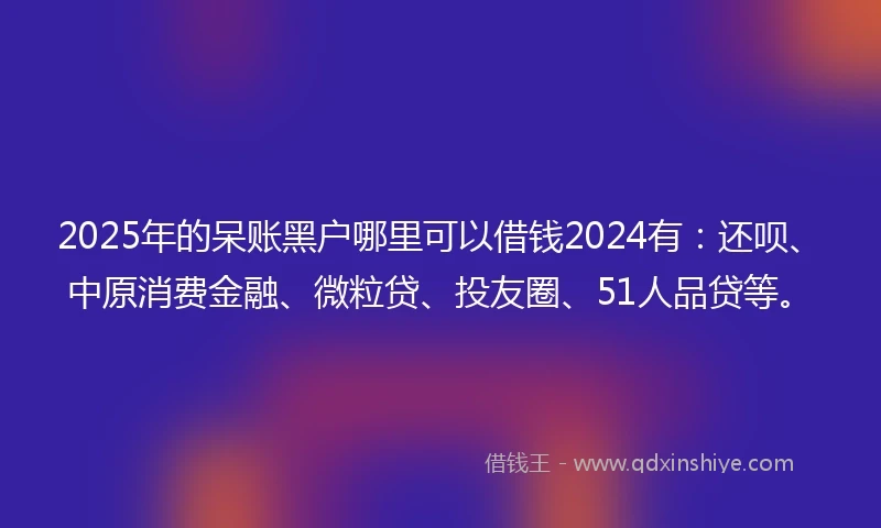 2025年的呆账黑户哪里可以借钱2024有：还呗、中原消费金融、微粒贷、投友圈、51人品贷等。