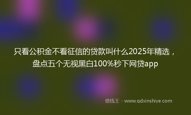 只看公积金不看征信的贷款叫什么2025年精选，盘点五个无视黑白100%秒下网贷app