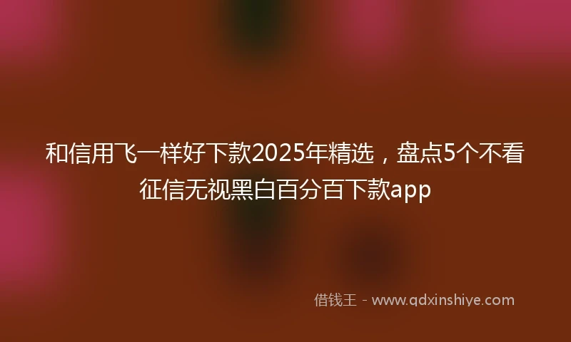 和信用飞一样好下款2025年精选，盘点5个不看征信无视黑白百分百下款app
