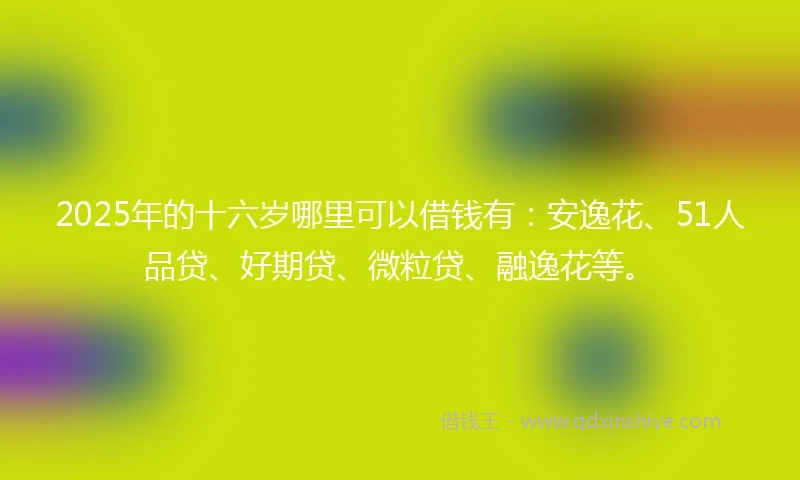 2025年的十六岁哪里可以借钱有：安逸花、51人品贷、好期贷、微粒贷、融逸花等。