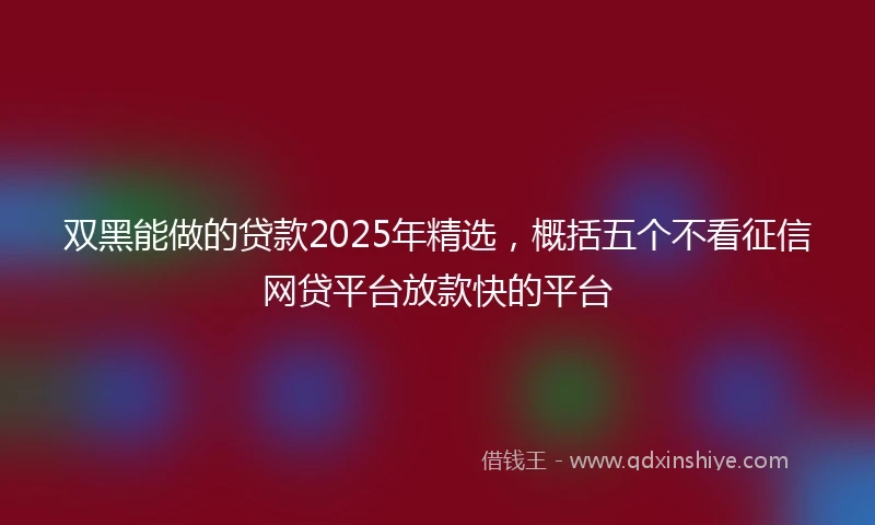 双黑能做的贷款2025年精选，概括五个不看征信网贷平台放款快的平台