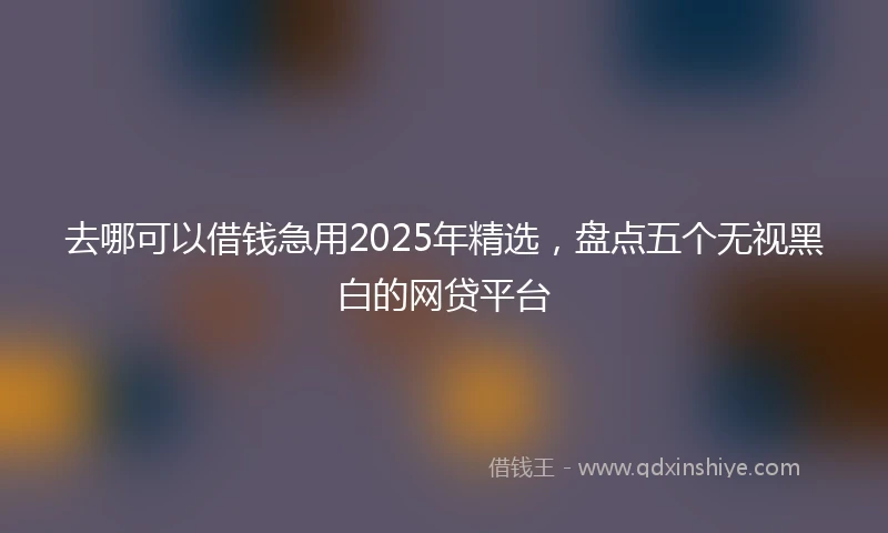 去哪可以借钱急用2025年精选，盘点五个无视黑白的网贷平台