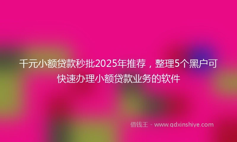 千元小额贷款秒批2025年推荐，整理5个黑户可快速办理小额贷款业务的软件
