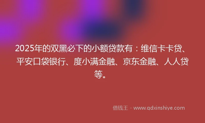 2025年的双黑必下的小额贷款有:维信卡卡贷、平安口袋银行、度小满金融、京东金融、人人贷等。