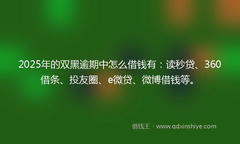 2025年的双黑逾期中怎么借钱有:读秒贷、360借条、投友圈、e微贷、微博借钱等。